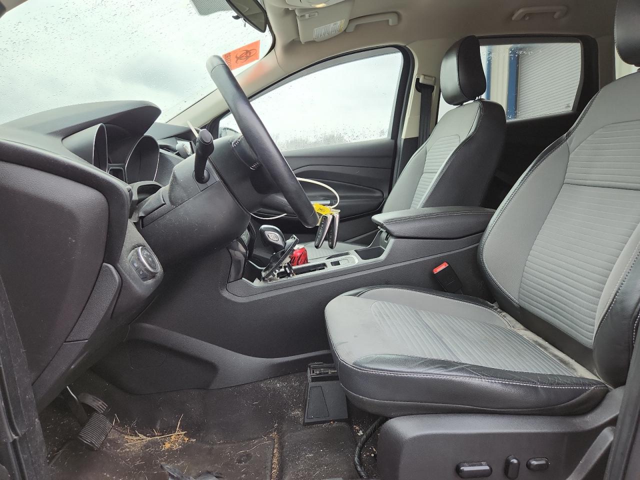 Lot #3301970464 2019 FORD ESCAPE SE