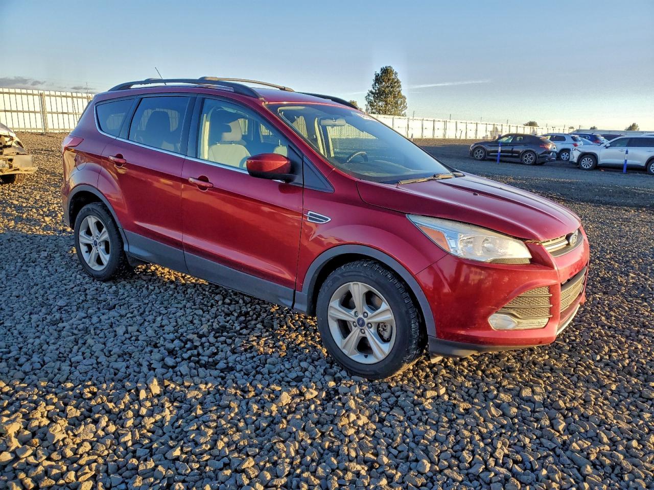 Lot #3309572618 2014 FORD ESCAPE SE