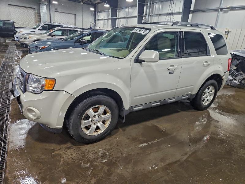 Global Auto Auctions: 2009 FORD ESCAPE LIM