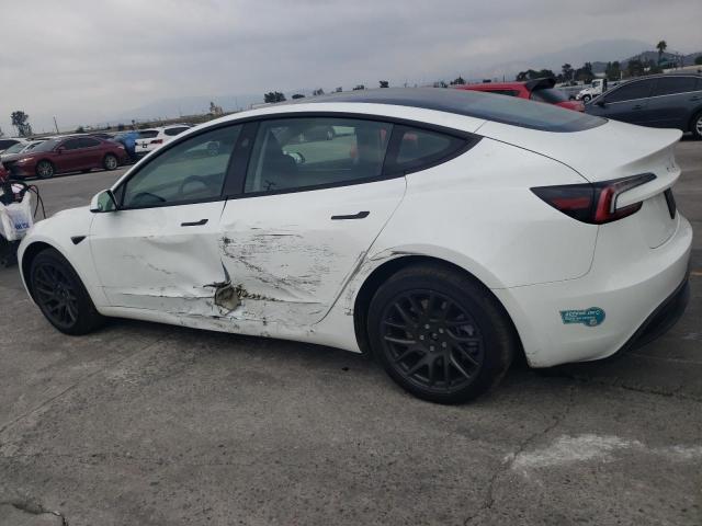 2025 TESLA MODEL 3 #3296989856