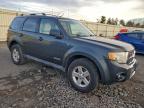 Lot #3315886087 2008 FORD ESCAPE HEV