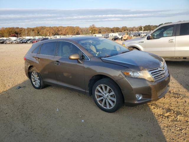 2010 TOYOTA VENZA #3302790891