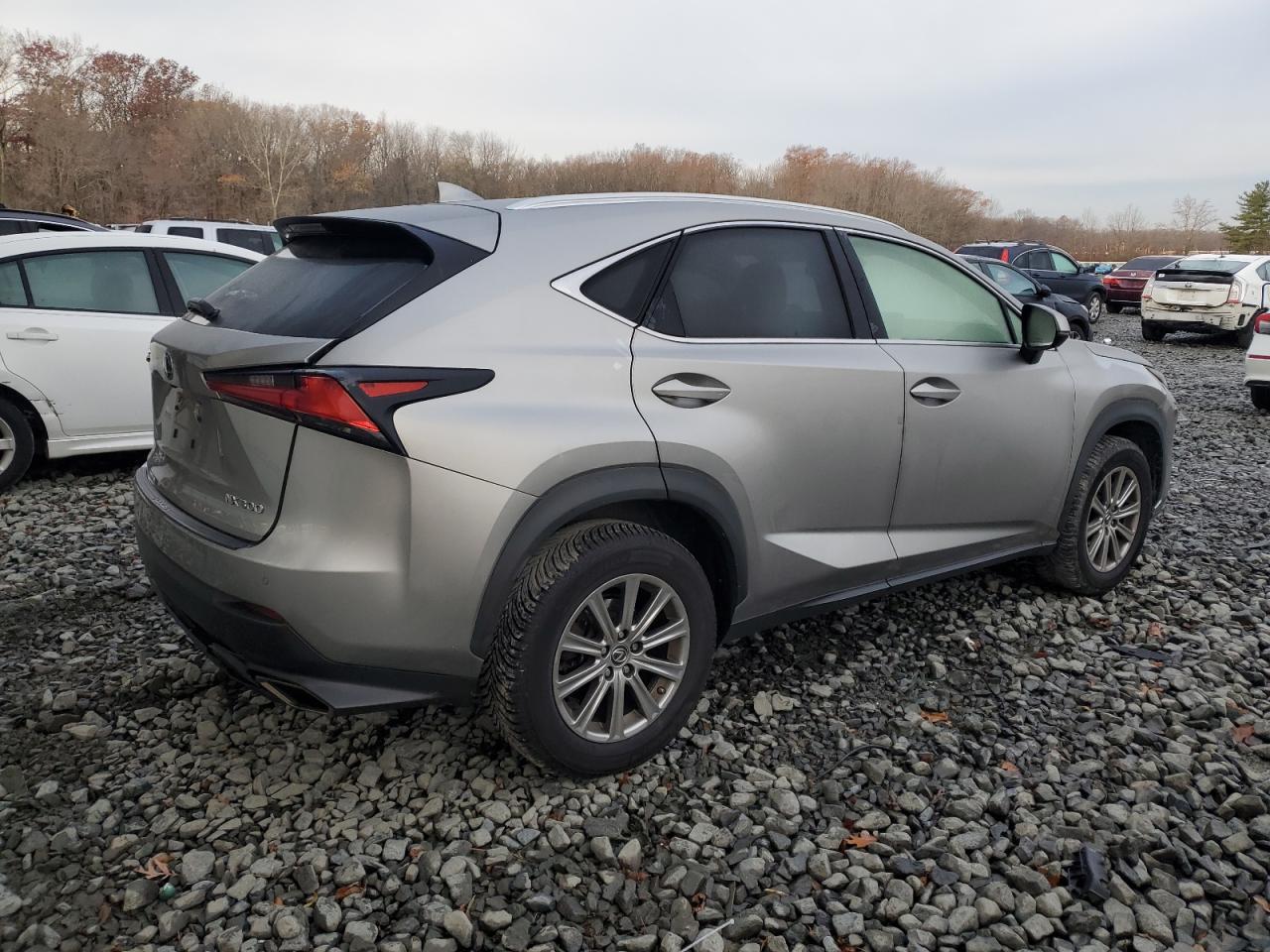 LEXUS NX 300