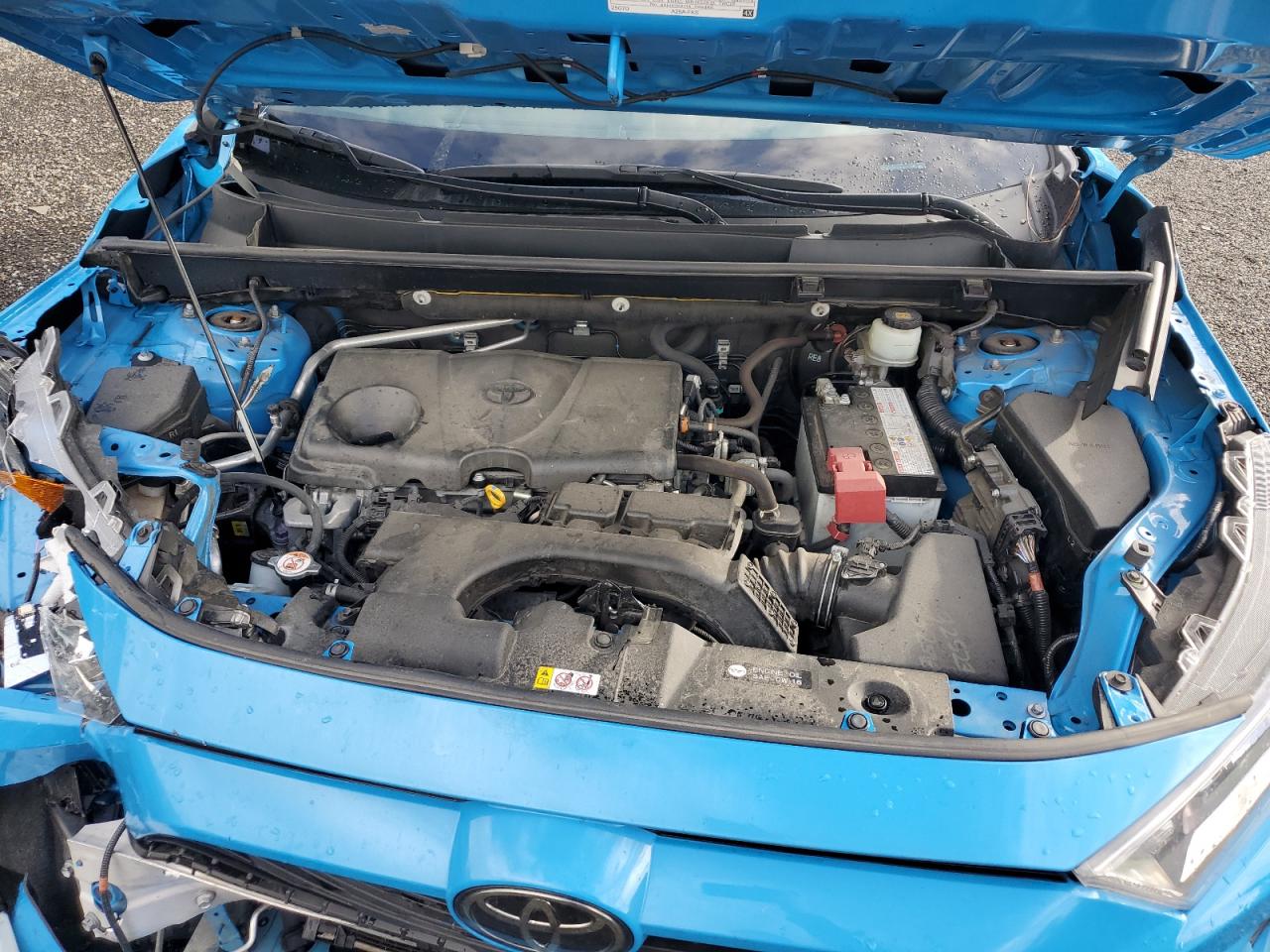 TOYOTA RAV4 XLE PREMIUM