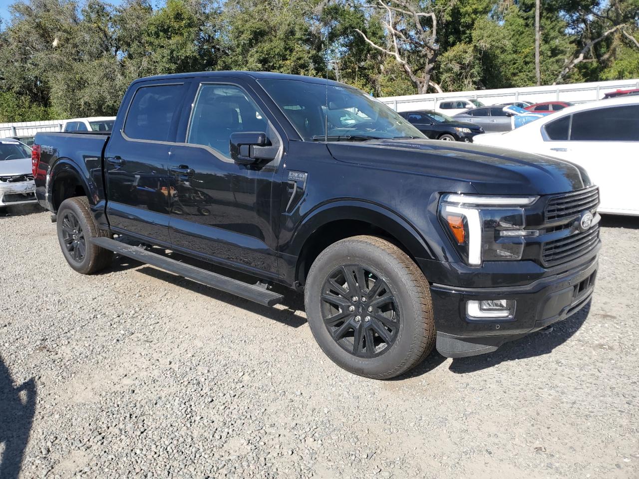 FORD F-150 PLATINUM