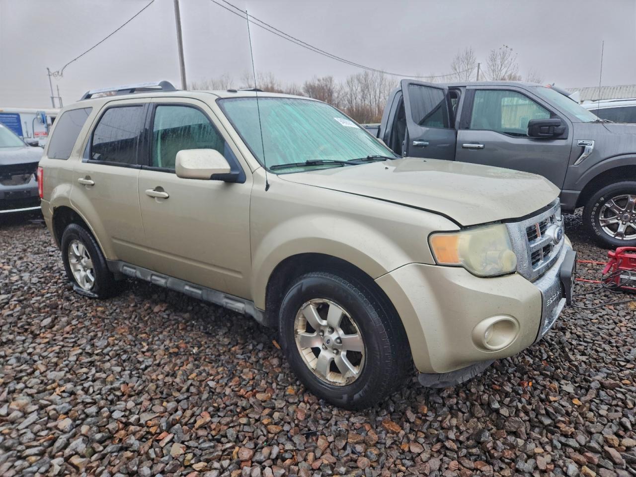 FORD ESCAPE LIMITED