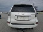 Lot #3305334299 2016 LEXUS GX 460
