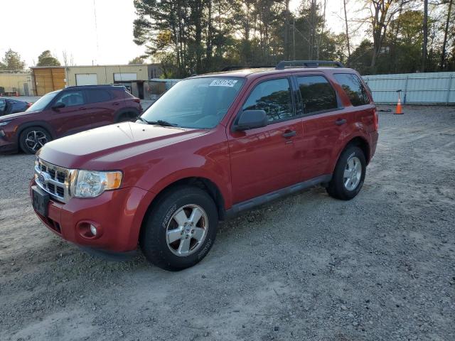 Global Auto Auctions: 2011 FORD ESCAPE XLT
