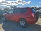 Lot #3315565776 2009 TOYOTA RAV4
