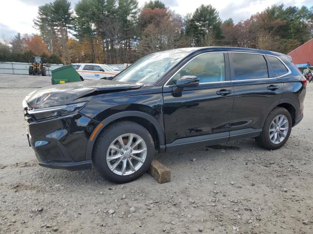 2024 HONDA CR-V EXL #3304518437