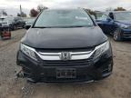 Lot #3310372975 2019 HONDA ODYSSEY EX