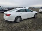 Lot #3316946072 2018 CHEVROLET MALIBU LT