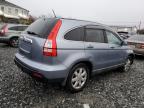 Lot #3305323329 2009 HONDA CR-V EXL