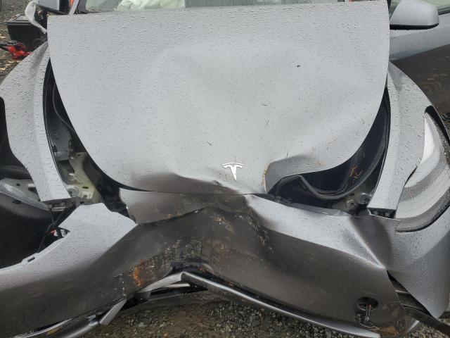 2025 TESLA MODEL Y #3302963643