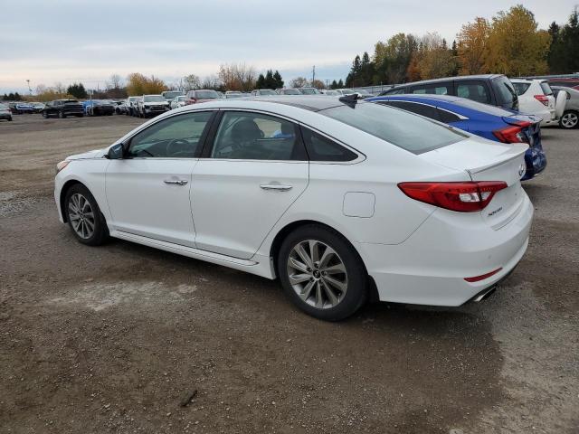 2016 HYUNDAI SONATA SPO - 5NPE34AF2GH397537