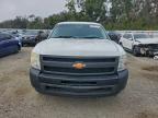 Lot #3303885779 2010 CHEVROLET SILVERADO