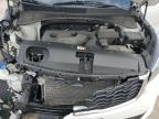Lot #3294339904 2019 KIA SORENTO L