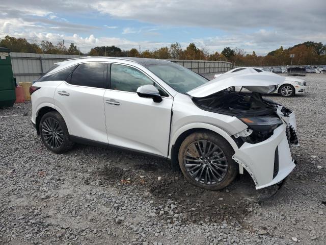 2024 LEXUS RX 350 BAS #3301819383