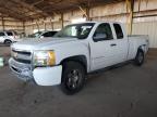 Lot #3304688905 2009 CHEVROLET SILVERADO