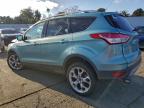 Lot #3315544866 2013 FORD ESCAPE TIT