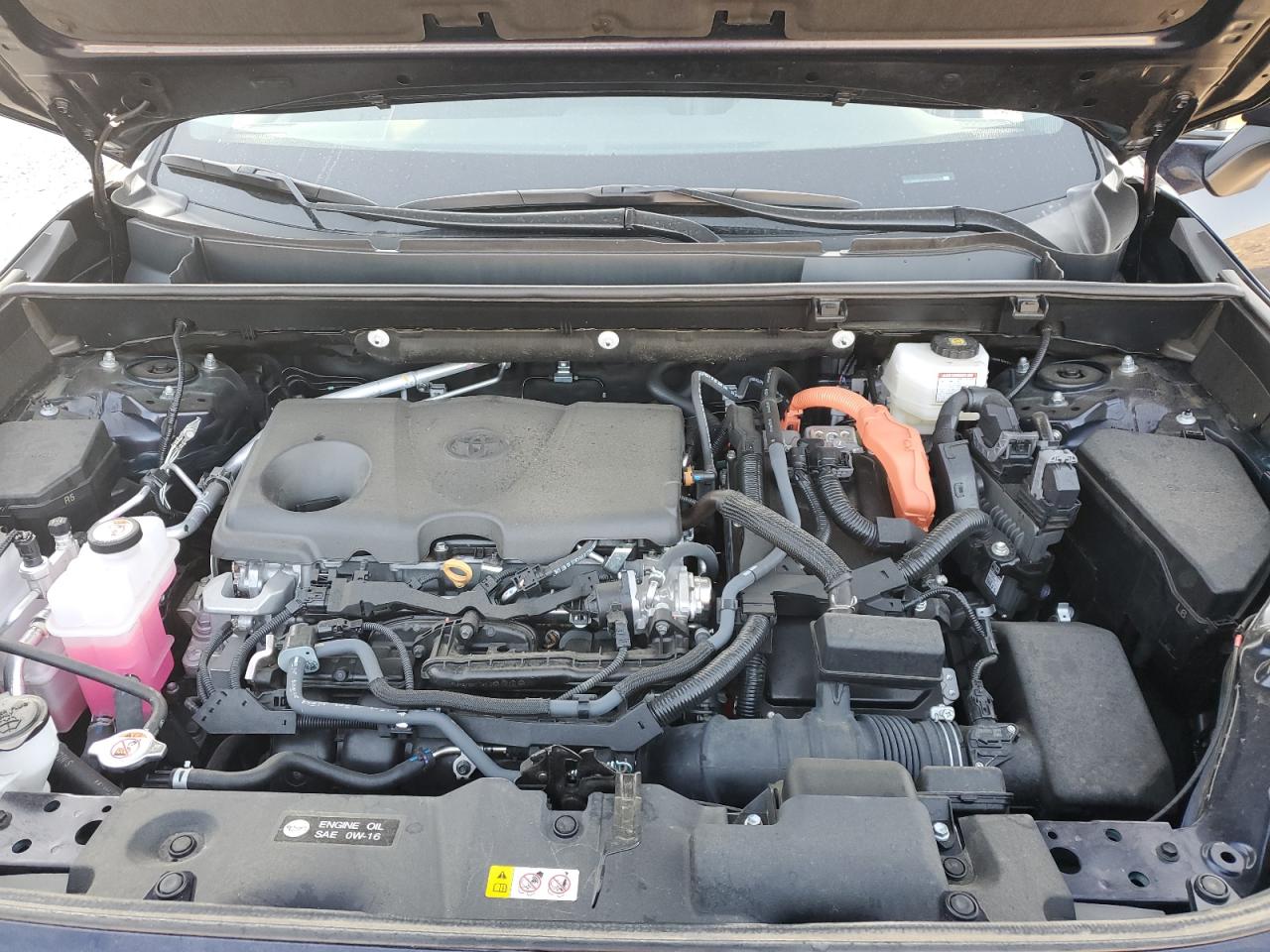 TOYOTA RAV4 XLE PREMIUM