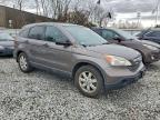 Lot #3305323335 2009 HONDA CR-V EX