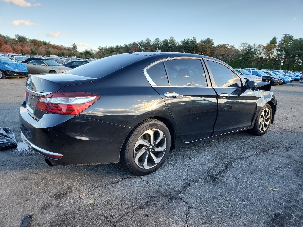 Lot #3312538609 2016 HONDA ACCORD EXL