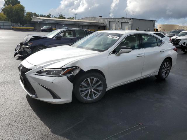 2019 LEXUS ES 300H #3303924736