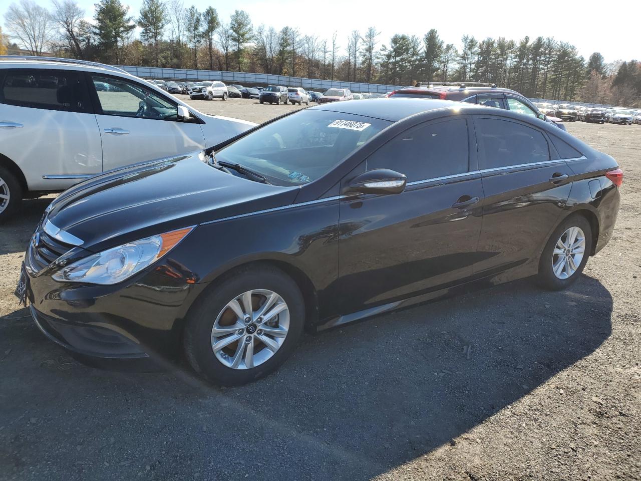 Lot #3304575449 2014 HYUNDAI SONATA GLS
