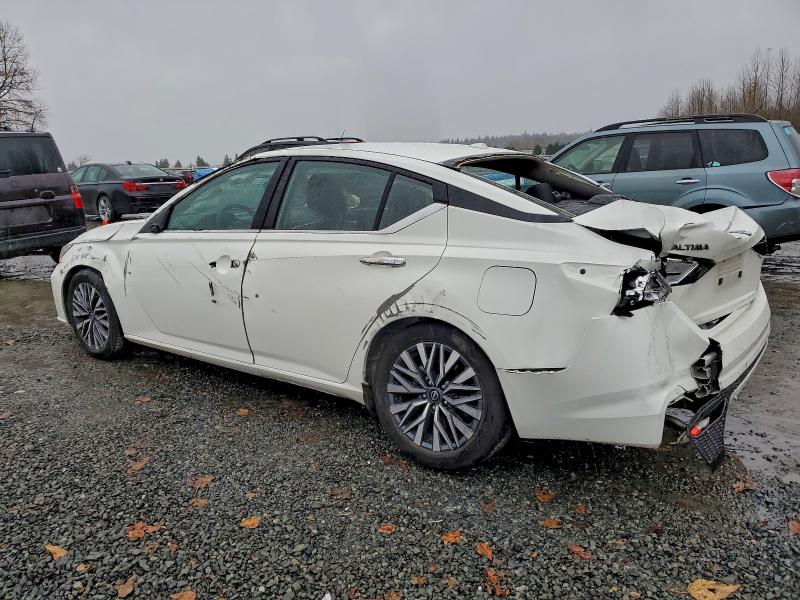 2025 NISSAN ALTIMA SV #3309850171