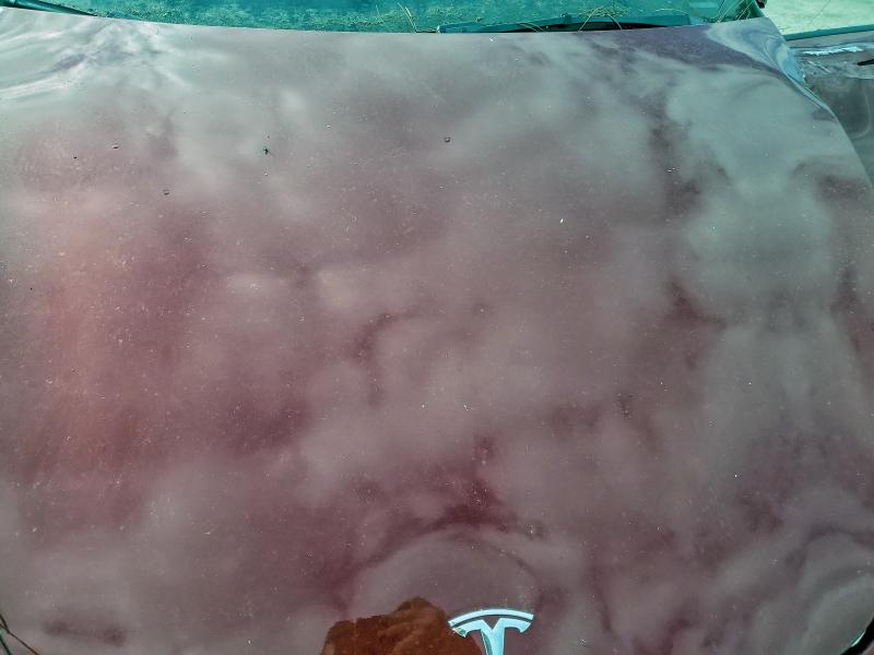 2024 TESLA MODEL Y #3303750452