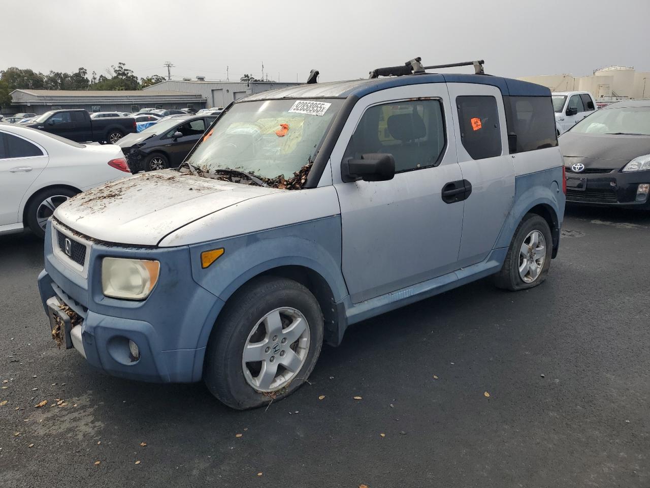 Lot #3290240214 2005 HONDA ELEMENT EX