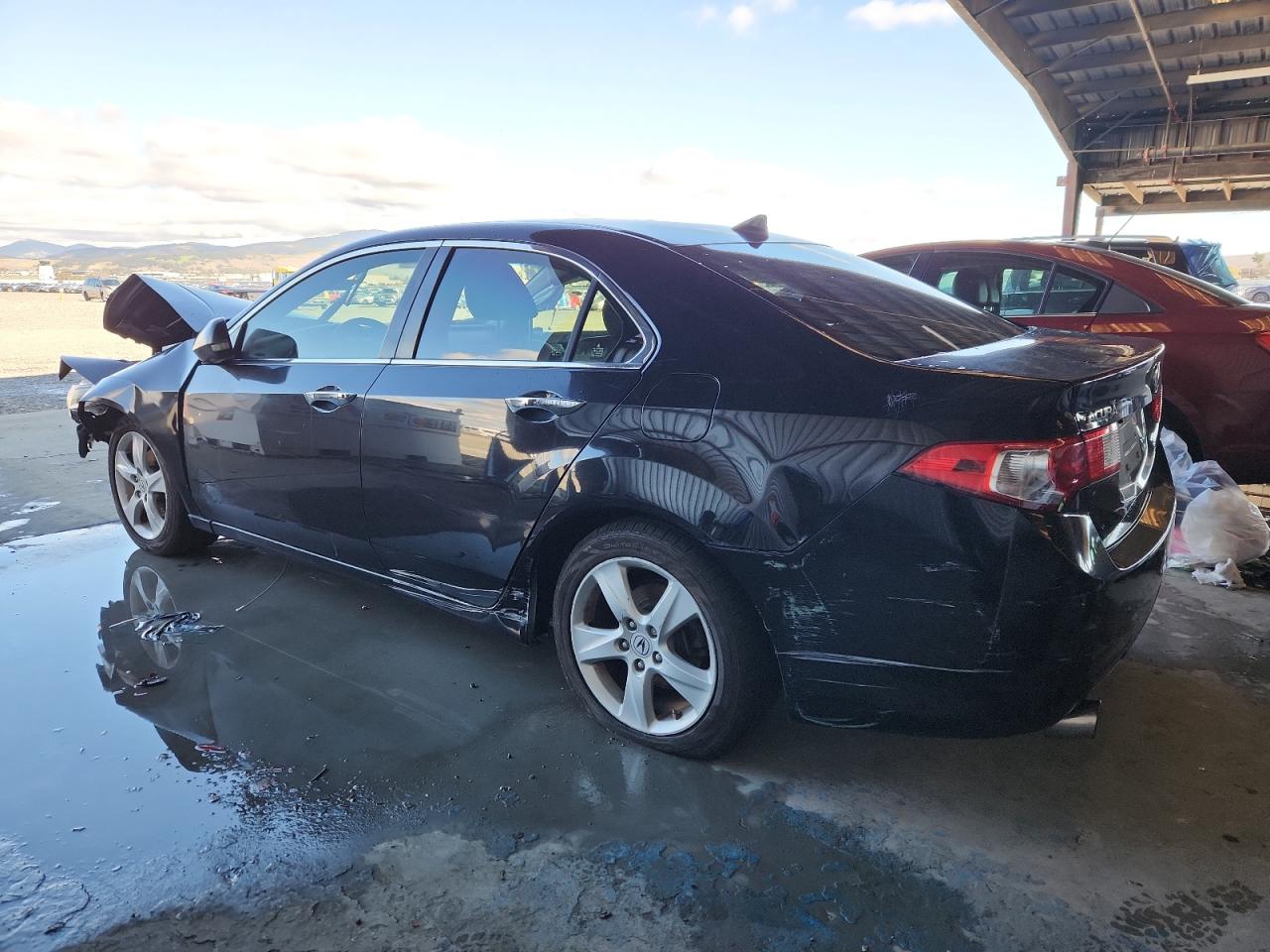 Lot #3317154985 2009 ACURA TSX