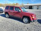 Lot #3293463425 2015 JEEP PATRIOT SP