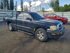 Lot #3309406983 2005 DODGE DAKOTA SLT
