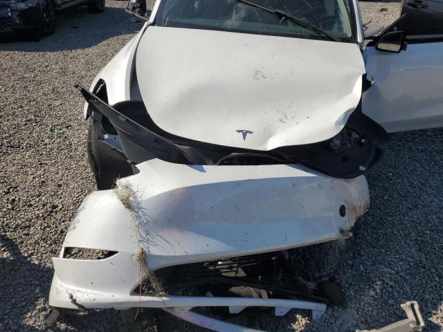 2023 TESLA MODEL Y #3303885770