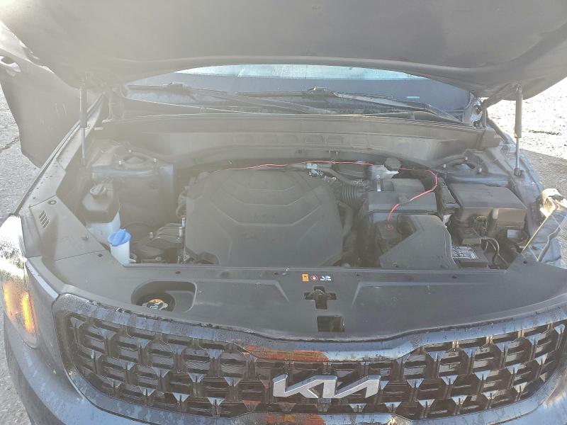 2024 KIA TELLURIDE #3304570453