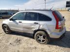 Lot #3303773436 2007 HONDA CR-V EX