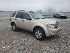 Lot #3293417071 2010 FORD ESCAPE XLT