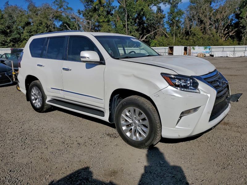 2019 LEXUS GX 460 #3305308325
