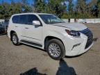 Lot #3305308325 2019 LEXUS GX 460
