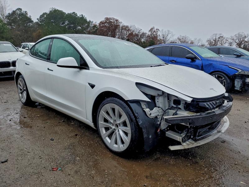 2022 TESLA MODEL 3 #3304602446