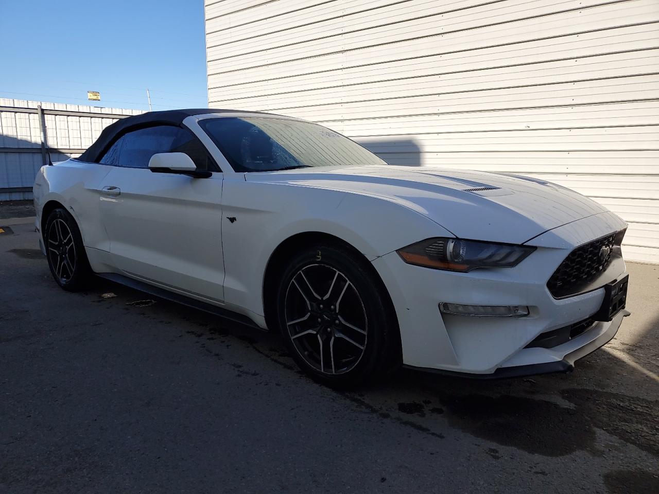Lot #3312295775 2018 FORD MUSTANG