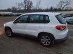 Lot #3303838514 2010 VOLKSWAGEN TIGUAN S