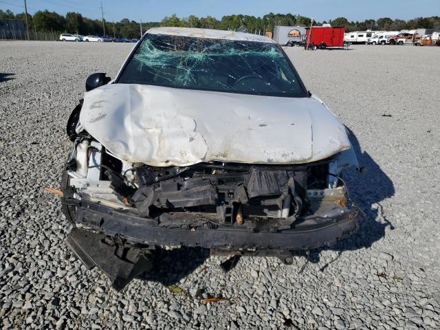 2023 HONDA CIVIC SPOR #3302844889