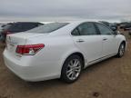 Lot #3292468740 2010 LEXUS ES 350