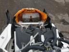 Lot #3294103944 2019 BMBR SNOWMOBILE