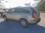 Lot #3297920788 2007 HONDA CR-V EXL