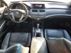 Lot #3303731426 2010 HONDA ACCORD EXL