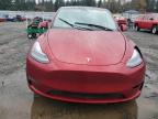 Lot #3298218030 2024 TESLA MODEL Y